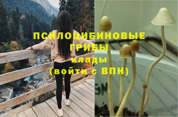 ECSTASY Рославль