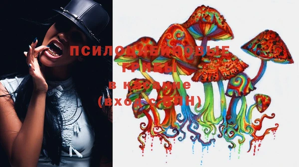мдпв Алзамай