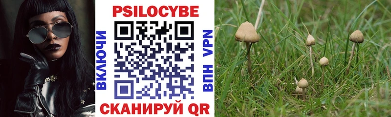 МЕГА как войти  маркетплейс клад  Галлюциногенные грибы мухоморы  Иннополис 